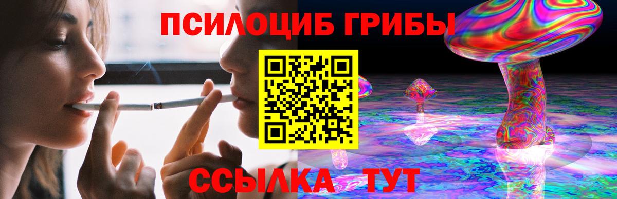 Псилоцибиновые грибы Magic Shrooms  купить   Среднеуральск  Псилоцибиновые грибы Magic Shrooms  Вход с VPN 